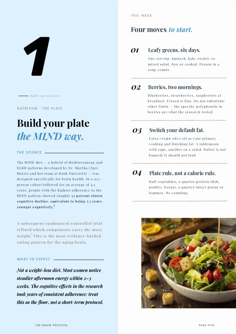 A page from The Brain Protocol